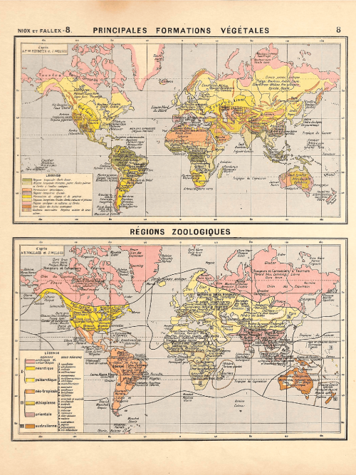 Map showing primary vegetation zones and zoogeographic regions worldwide.