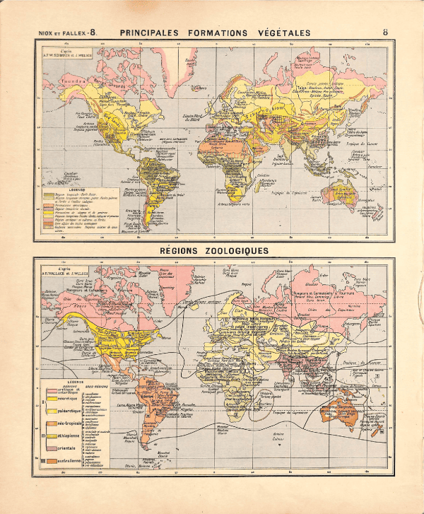 Map showing primary vegetation zones and zoogeographic regions worldwide.