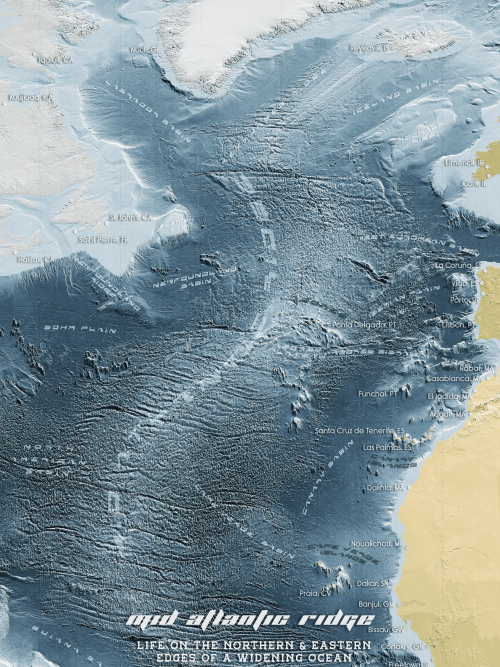 Map of the Mid Atlantic Ridge showing underwater mountain range and tectonic plates.