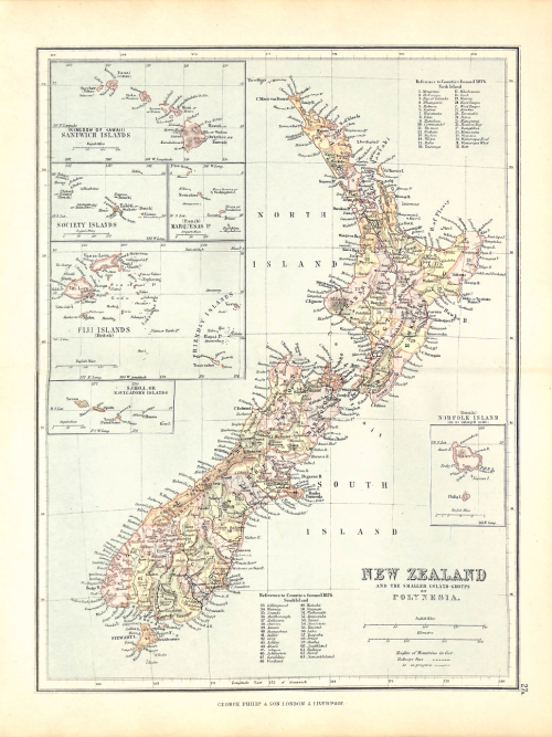 New Zealand and Polynesia